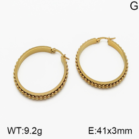 SS Earrings  5E2000651aakl-423