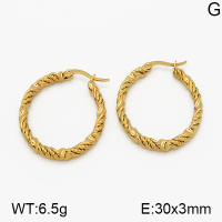 SS Earrings  5E2000652vbmb-423