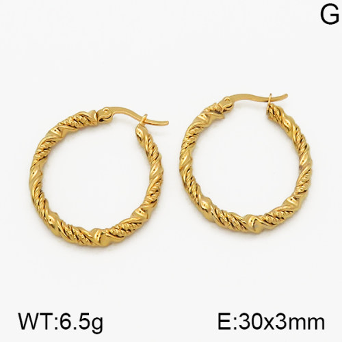 SS Earrings  5E2000652vbmb-423