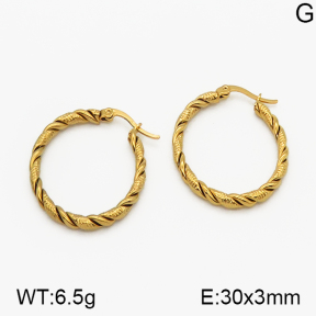 SS Earrings  5E2000654vbmb-423