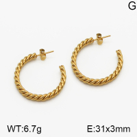 SS Earrings  5E2000658ablb-423