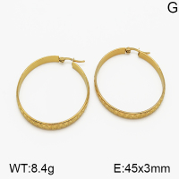 SS Earrings  5E2000659vaia-423