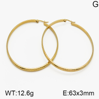 SS Earrings  5E2000660vail-423