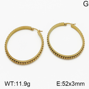 SS Earrings  5E2000662aakl-423