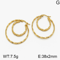 SS Earrings  5E2000663baka-423