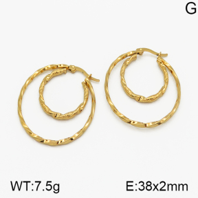 SS Earrings  5E2000663baka-423