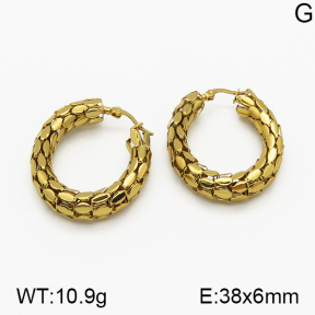 SS Earrings  5E2000665vbmb-423