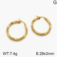 SS Earrings  5E2000668vbmb-423