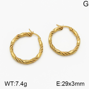 SS Earrings  5E2000668vbmb-423
