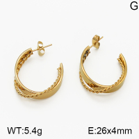 SS Earrings  5E2000671vbmb-423