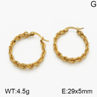 SS Earrings  5E2000674vbmb-423