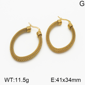 SS Earrings  5E2000676vbnb-423
