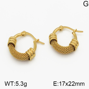 SS Earrings  5E2000677vbmb-423