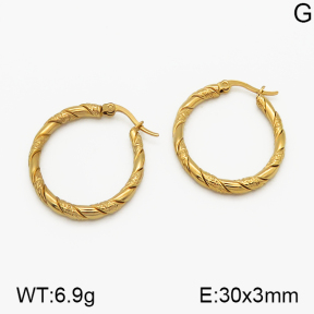 SS Earrings  5E2000680vbmb-423