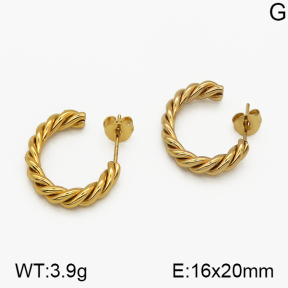 SS Earrings  5E2000683vbmb-423