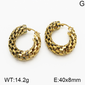 SS Earrings  5E2000685vbmb-423