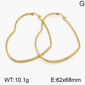 SS Earrings  5E2000687avja-423