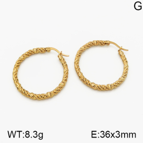 SS Earrings  5E2000688vbmb-423
