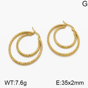 SS Earrings  5E2000689baka-423