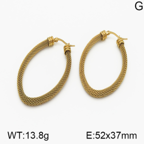SS Earrings  5E2000691vbnb-423