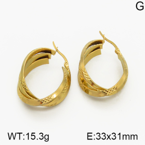 SS Earrings  5E2000693ablb-423