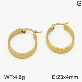 SS Earrings  5E2000696vail-423