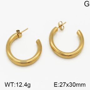 SS Earrings  5E2000699vbmb-423