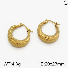 SS Earrings  5E2000700vbpb-423