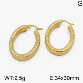 SS Earrings  5E2000701vbnb-423