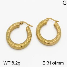 SS Earrings  5E2000702vbmb-423