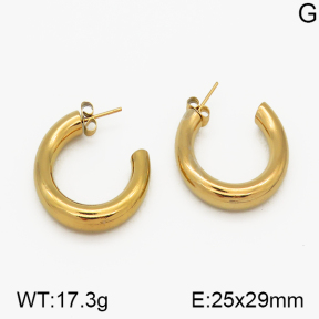 SS Earrings  5E2000704aakl-423