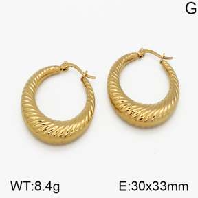 SS Earrings  5E2000707bhva-423