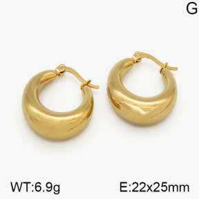 SS Earrings  5E2000708abol-423