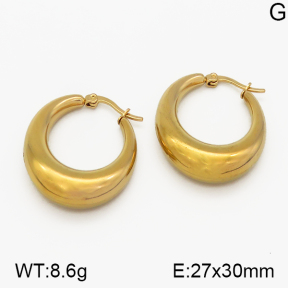 SS Earrings  5E2000709vbpb-423
