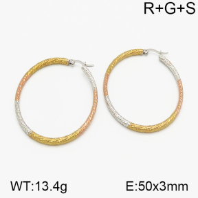 SS Earrings  5E2000711vbmb-423