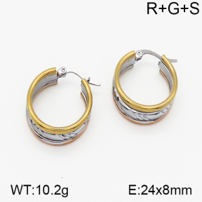 SS Earrings  5E2000712vbnb-423