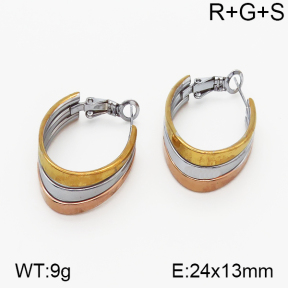 SS Earrings  5E2000713vbnl-423