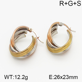 SS Earrings  5E2000714vbnb-423