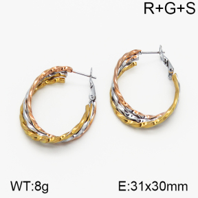 SS Earrings  5E2000715vbnb-423