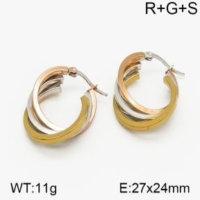 SS Earrings  5E2000716vbnb-423