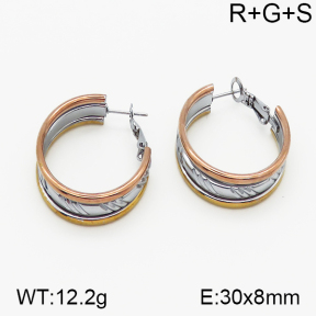 SS Earrings  5E2000717vbnl-423