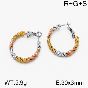SS Earrings  5E2000718bbml-423