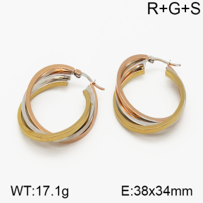 SS Earrings  5E2000719vbnb-423