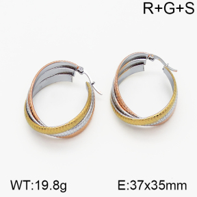 SS Earrings  5E2000720vbnb-423