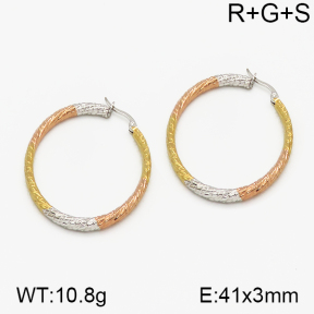 SS Earrings  5E2000722vbmb-423