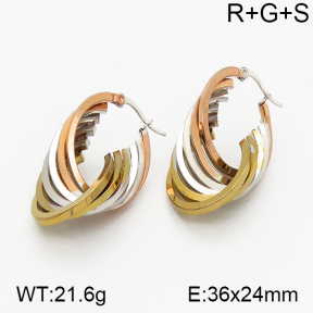 SS Earrings  5E2000723bbov-423