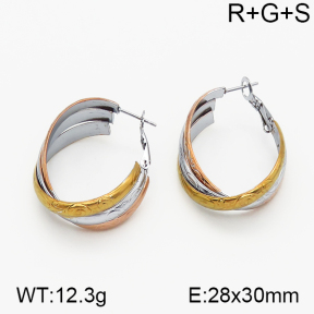 SS Earrings  5E2000724vbnl-423
