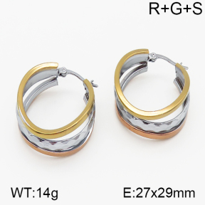 SS Earrings  5E2000725vbnb-423