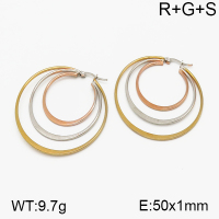 SS Earrings  5E2000726vbnb-423