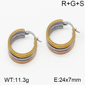 SS Earrings  5E2000727vbnb-423